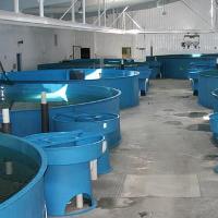 New aquaculture research facility in Maine