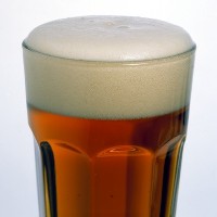 Beer disposal fed to UK cows