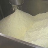 Milk powder prices remain high