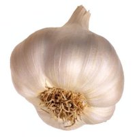 Garlic in feed for less methane emission