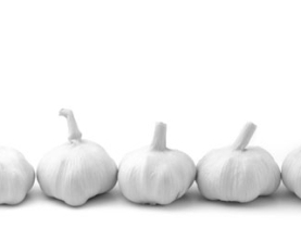 Garlic – healthy, but pricy!