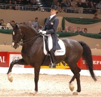 Alltech to sponsor European horse event