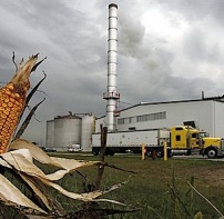 US farmers embrace ethanol