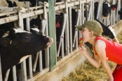 Dutch aim to recruit more animal nutrition students