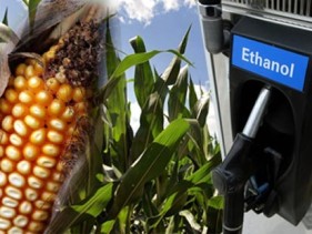 US producers protest higher ethanol blends