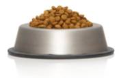 Irish firm Chanelle moves into pet food