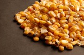 Romanian maize enters Japan again