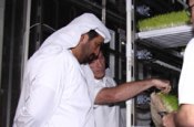 UAE pioneers high-tech animal feed system