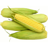 Minister asked to reject new corn variety