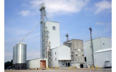 FEED MILL: The cleanest feed mill in the world