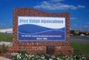 Alltech day 2: Blue Ridge Aquaculture as role model