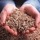 Slight decrease in European compound feed production