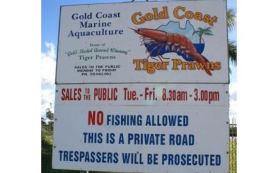 FARM VISIT: Tiger Prawn farm, Woongoolba, Australia