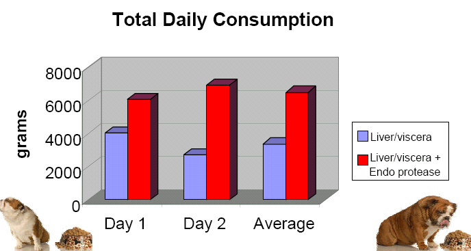 Enzymes increase daily intake of pet food