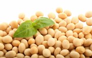 Agro Korn launches new soy concept: AlphaSoy®
