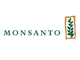 Monsanto reports bigger loss in Q4