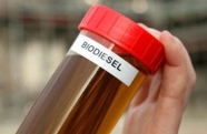 US biodiesel leaks illegally into Europe