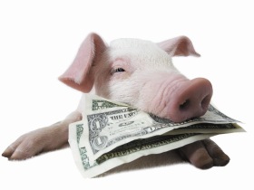 Enzymes save on feed costs in pigs