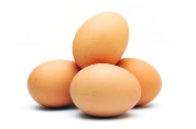 Shellbiotic launched to support egg quality