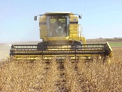 ARS: Ozone levels already affecting soybean yields