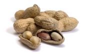 Peanuts and mycotoxins