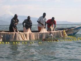 New feed protocol to boost fish farming