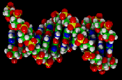 Soybean genome unravelled