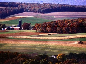 USDA: 2010 net farm income forecast up 12%