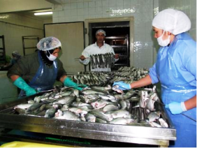 Turkish town turns from textile to trout