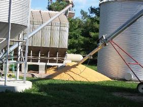 Quick drying critical for corn quality