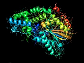 Scientists discover final piece in phytate jigsaw