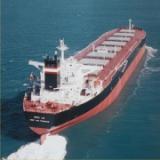 Shipping agreement Diana shipping/Cargill