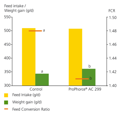 New acidifier improves electrolyte balance