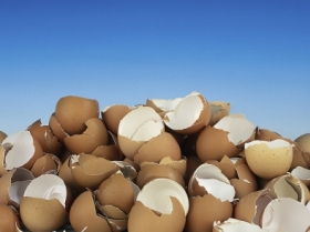 Research: Coarse limestone – better eggs