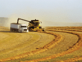 Fires in Eastern Europe heat up wheat prices