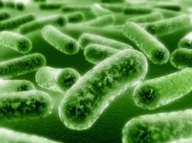 China-Biotics to build new probiotic facility