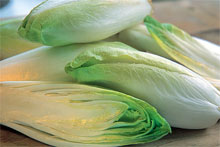 Research: Chicory inulin support intestinal health