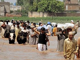 Millions of livestock dead or in danger in Pakistan