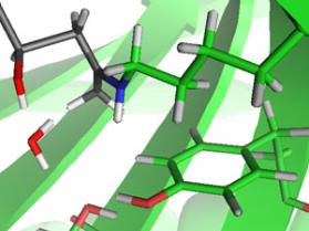 US enzymes demand to increase 5.1% annually