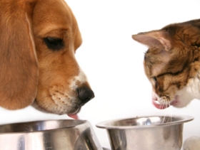 ‘Natural foods not always best for pets’