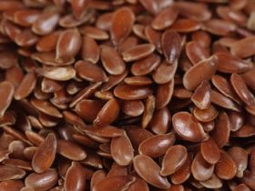 Research: Flax in beef diets