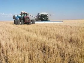 US wheat dominates export markets