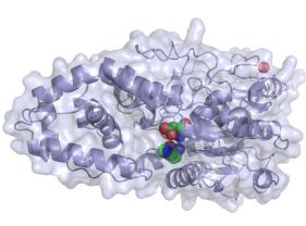 Formulating in the absence of phytate