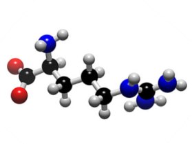 Functional amino acids regulate key metabolic pathways