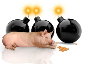 Magi-Maxx promises explosive growth in pigs