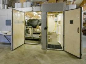 Special feed halves methane production or ruminants