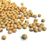 China pushes Brazilian soybean trade