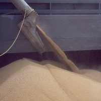 First import of sustainable soy arrives in Holland