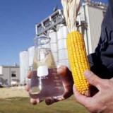 New report addresses biofuel issue