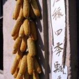 China soon to become net corn importer